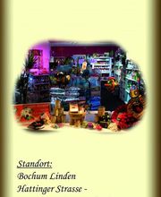 Ein kleiner Blick durch das Fenster...