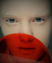 Liona Toussaint Logo