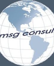 msg consult Logo