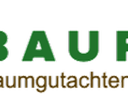 Bauroth Baumgutachten Baumpflege Logo