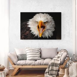 Wohnzimmer mit einem großen Adlerbild an der Wand und einem beigen Sofa mit Kissen und Decke.