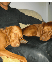 Kuschelzeit mit Ersatzpappa