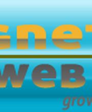 Agnetia Web Design Pros Logo