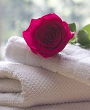 Rote Rose auf gestapelten weißen Handtüchern vor einem Fenster.