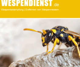 Wespendienst / HACCP Experte UG Logo