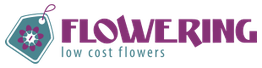 Logo de "Flowering" con flor y lema "low cost flowers." Letras moradas y flor en etiqueta.