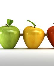 Business Center für Strategie, Finanzen, Geschäftsentwicklung & technische Dienstleistungen