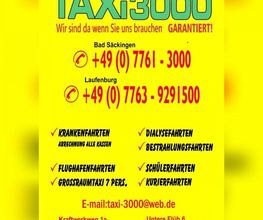 Taxi - 3000 Wehr Logo