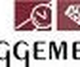 Uhren Schmuck Augenoptik Priggemeyer Logo