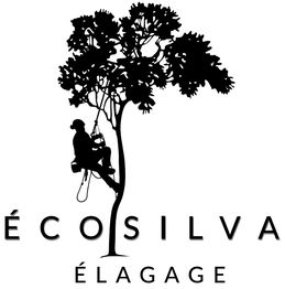 Personne grimpant à un arbre, texte en dessous : ÉCOSILVA ÉLAGAGE.