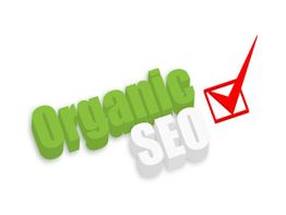 "Organic SEO" in green and white with a red checkmark box symbol on the right.