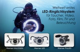 Taucher mit LED-Ringlichtsystem, drei Produktbilder unten: Werner HALOGEN, LED, ProLED.