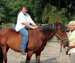 Therapie mit Pferde