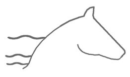 Strichzeichnung eines Pferdekopfes mit fließenden Linien, die Bewegung suggerieren.