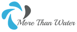 Logo with blue and gray swirl and the text "More Than Water."