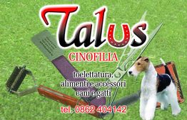 Immagine pubblicitaria per Talus Cinofilia con strumenti e un cane su sfondo verde.