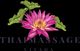 Eine pinke Lotusblüte mit grünen Blättern und dem Schriftzug "Thaimassage Viyada".