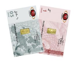 Zwei Goldbarren-Zertifikate, 0,5 g und 1 g, mit Globus- und Musterdesigns in Grau und Rosa.