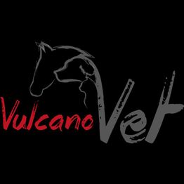 Pferdekopf-Kontur mit Schriftzug "VulcanoVet" in Rot und Grau auf schwarzem Hintergrund.