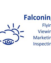 Falconing Andreas Schröter Logo