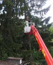 Baumschubser Wiesbaden