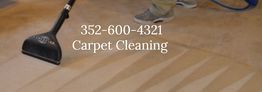 A person cleaning a carpet with text: "352-600-4321 Carpet Cleaning".