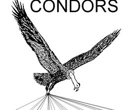 The flying Condors Logo