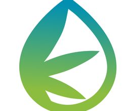 InstaHaze Logo