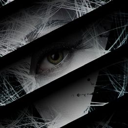 Ein grünes Auge schaut durch dunkle Streifen, umgeben von weißem Netz.