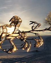 Ferienhaus Erzgebirge / Neuhausen, Seiffen