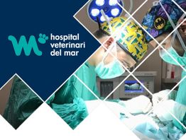 Dos veterinarios operan en un quirófano, logotipo del Hospital Veterinari del Mar a la izquierda.