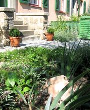 Vorgartenbepflanzung