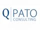 Logo mit Text: "Q Pato Consulting" auf weißem Hintergrund.