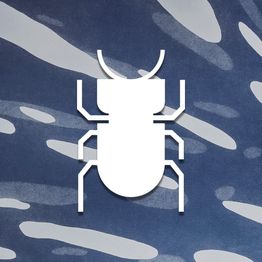 Silhueta de um inseto branco sobre um fundo azul com formas abstratas claras.