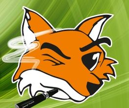 Dampffuchs Logo