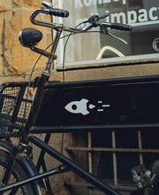 fred & komplizen* Bild 1