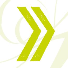 Zwei grüne Pfeile nach rechts auf hellem Hintergrund.