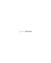 Studio Pfleiderer Logo