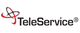 Logo mit Text "TeleService" und einer dekorativen Grafik links daneben.