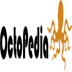 Silhouette of an octopus with a wheel, sporting a design that’s mirrored and flipped vertically.