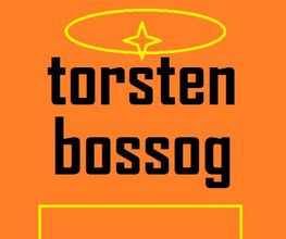 Torsten Bossog, Webmaster und Werbung
