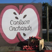 Sign with "Carlson Orchards" on apple background, next to a crate of apples.