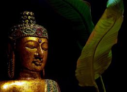 Estatua dorada de Buda junto a hojas verdes sobre un fondo negro.