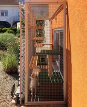 KatzMama - Katzenbetreuung, Tierkommunikation, Leben mit Wohnungskatzen Logo