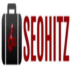 Logo with a briefcase icon and the text "SEOHITZ" in bold red letters.
