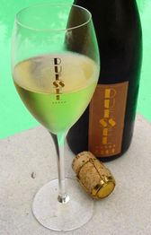 Weinglas und Flasche mit Sekt am Pool.