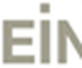 RHEIN IT Logo