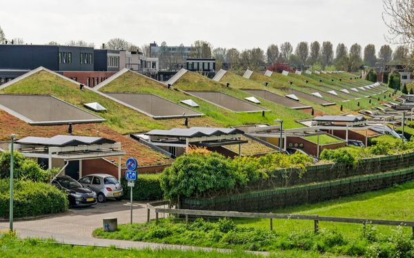 Ein Wohngebiet mit Gründächern und integrierten Solarzellen.