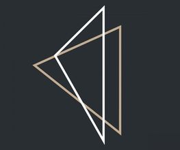 LICHT & SALZ Logo