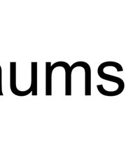 raumschliff PARKETTHANDWERK Logo